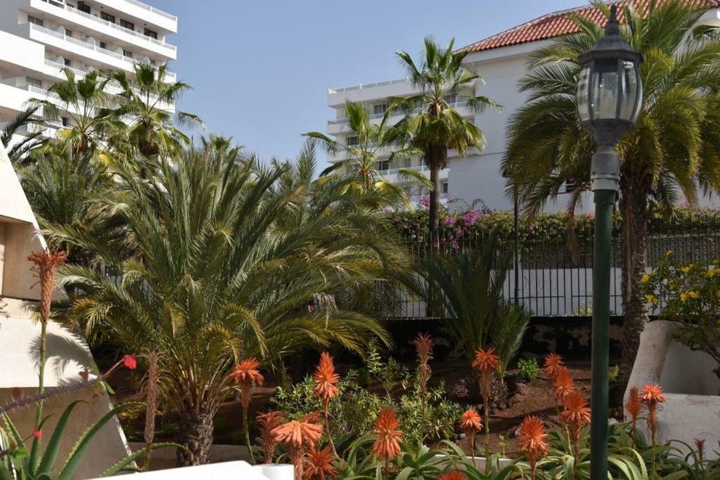 Apartamento Las Veronicas Arona  Exterior photo